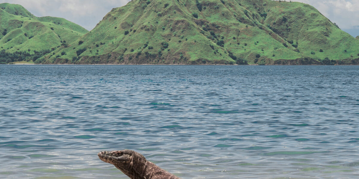 Komodo Island is the New Gateway to Indonesia - Labuan Bajo Tourism