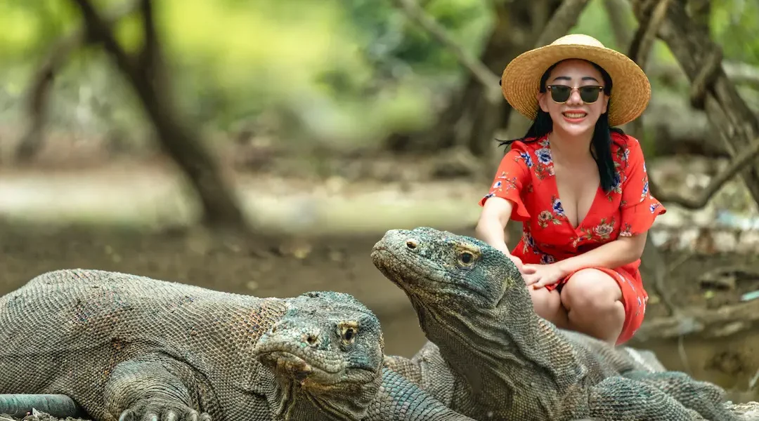 Komodo Dragon on National Park - KomodoLuxury