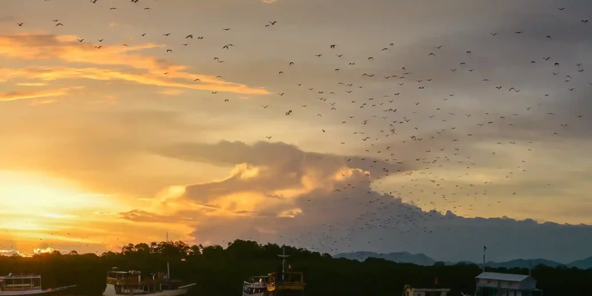 Kalong Island, Komodo National Park