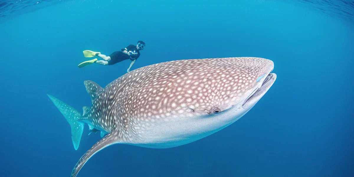 Famous natural landmarks in Indonesia