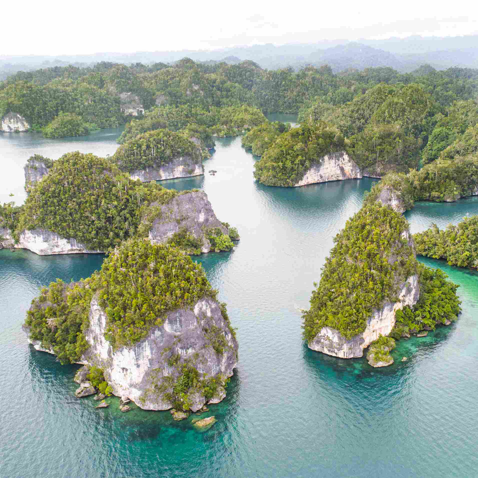 Kabui Bay