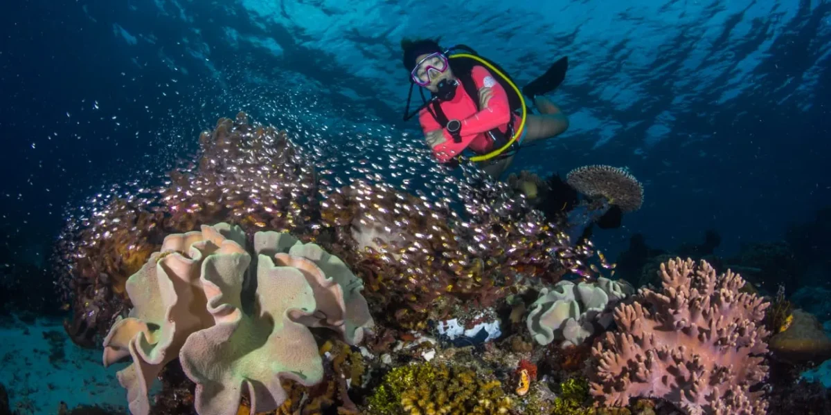 Underwater Raja Ampat - KomodoLuxury