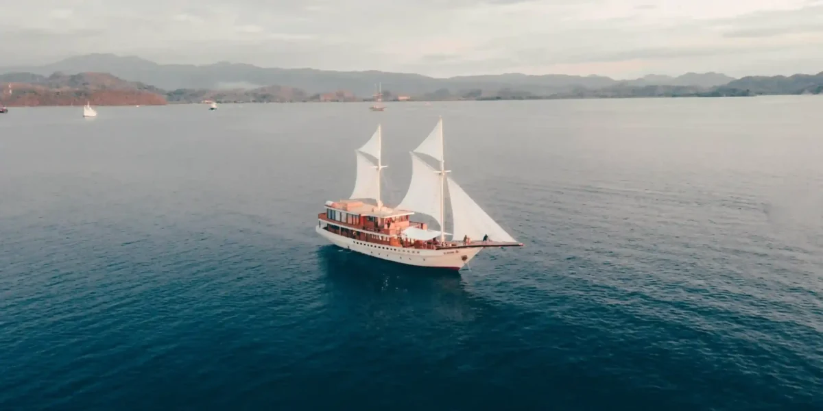 Image of Elbark Cruise Drone