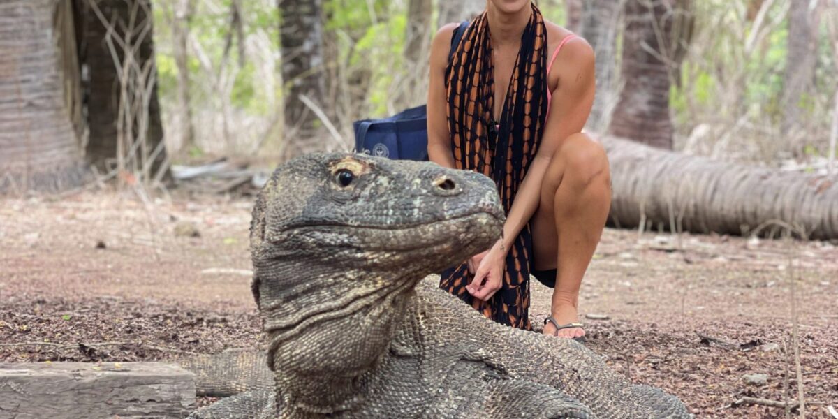 A tourist with the iconic komodo dragon