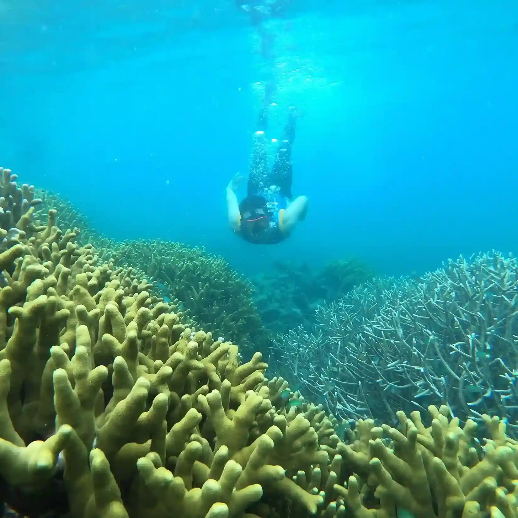 Sauwandarek Island