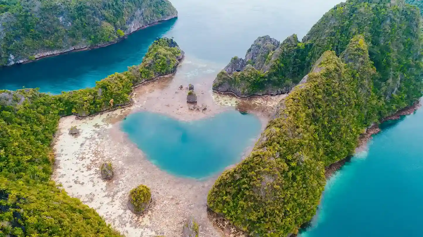 A bird's view Raja Ampat