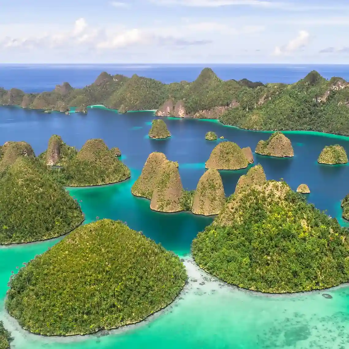 7D6N Raja Ampat Tour