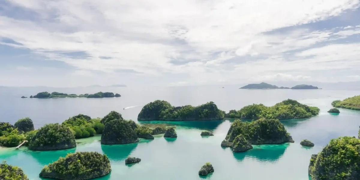 Piaynemo Island, Raja Ampat