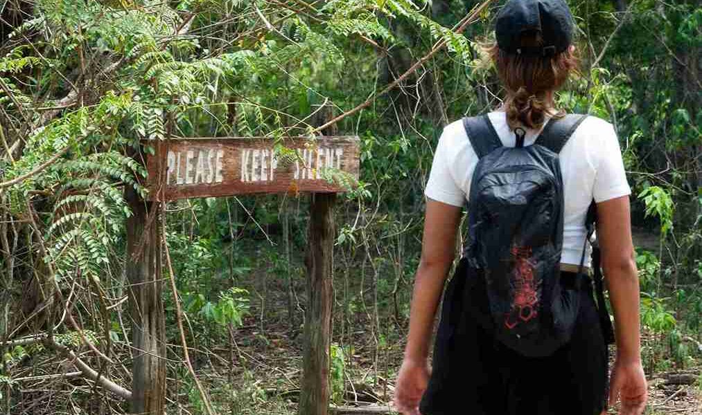 Ecotourist Komodo National Park | Komodo Island | Komodo National Park