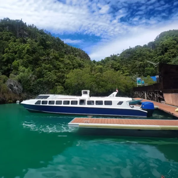 Berdikari 1 Speedboat - KomodoLuxury