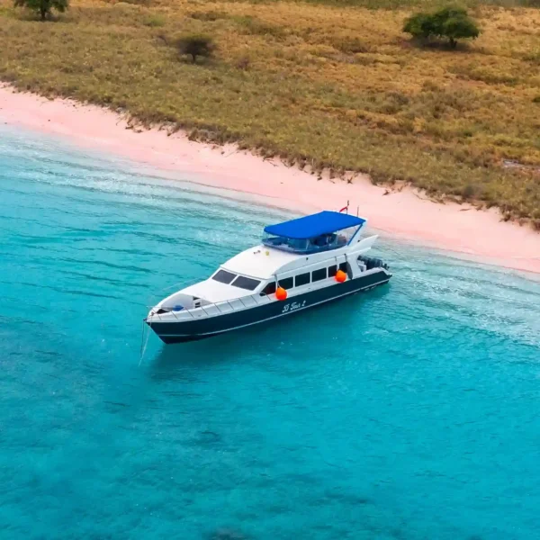 D2 Speedboat - KomodoLuxury