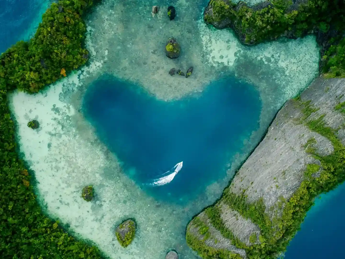 Birdwatching Activity | Raja Ampat Tour | Komodo Island Tour | Komodo Luxury