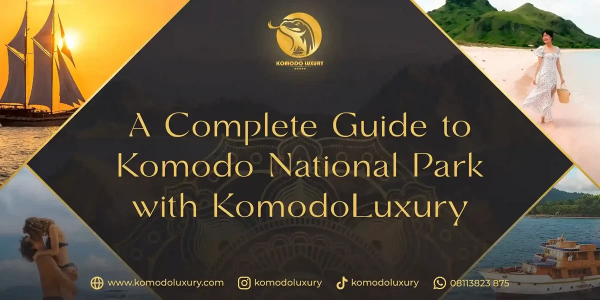 Complete guide to Komodo National Park with Komodo Luxury