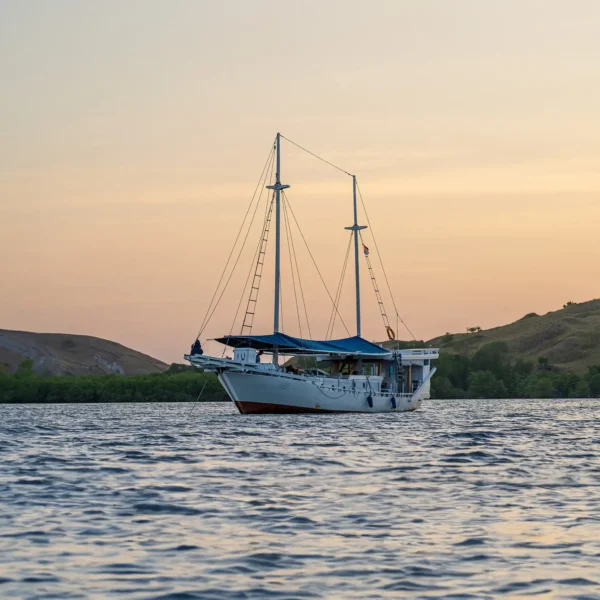 Jinggo Janggo Yacht Cruise Phinisi - KomodoLuxury