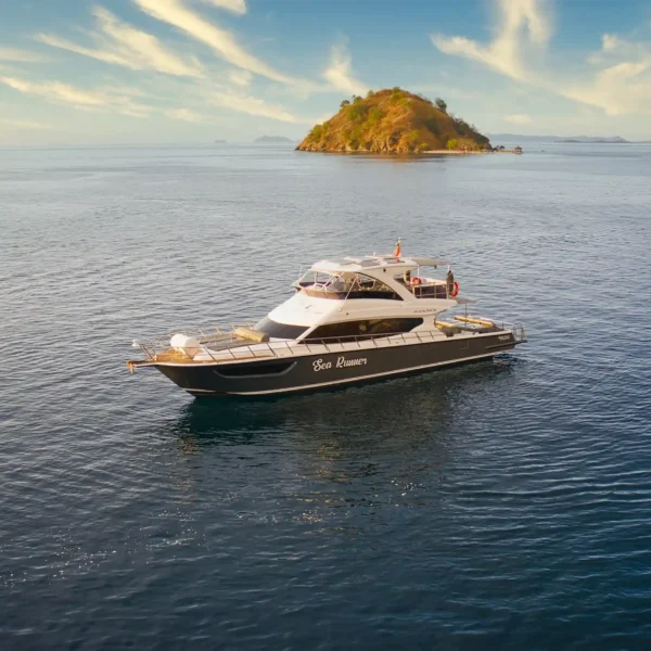 Sea Runner Speedboat - KomodoLuxury