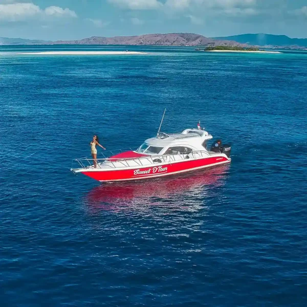 Sunset Speedboat - KomodoLuxury
