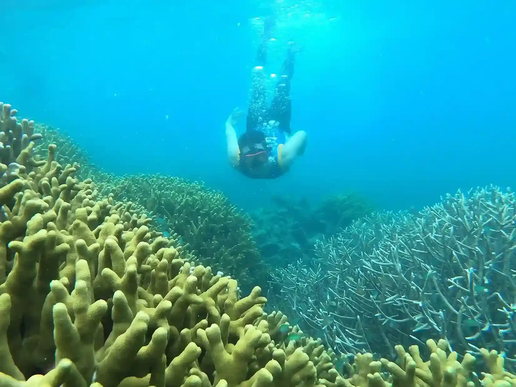 Sauwandarek Island | Raja Ampat Tour Packages