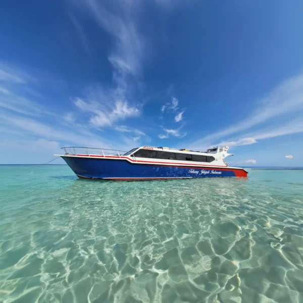 TJI Speedboat - KomodoLuxury