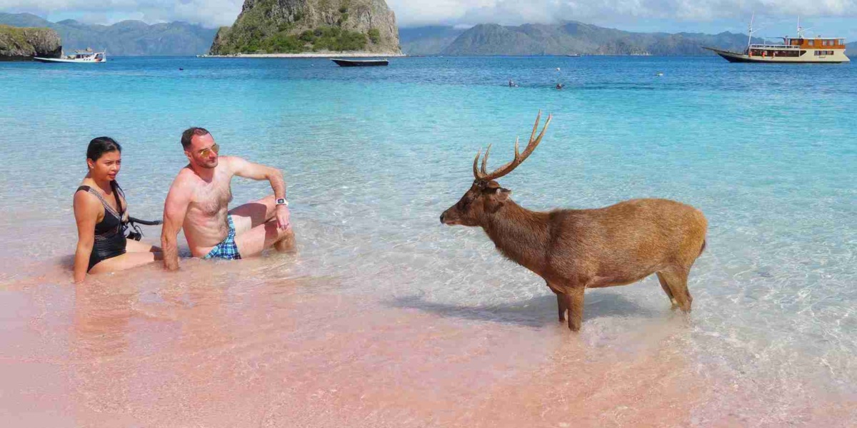 Beautiful Pink Beach, Labuan Bajo