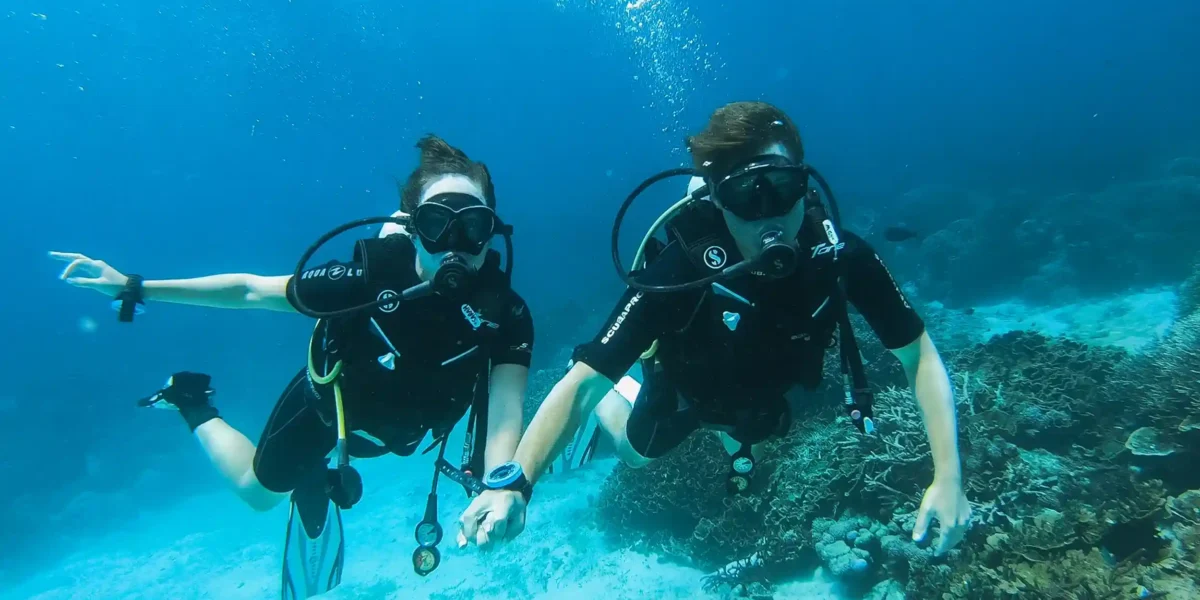 Diving | Komodo National Park | Komodo Luxury