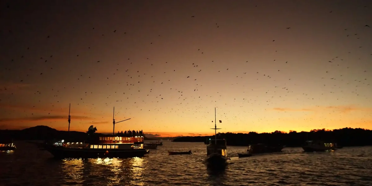 Sunset at Kalong Island | Komodo Island