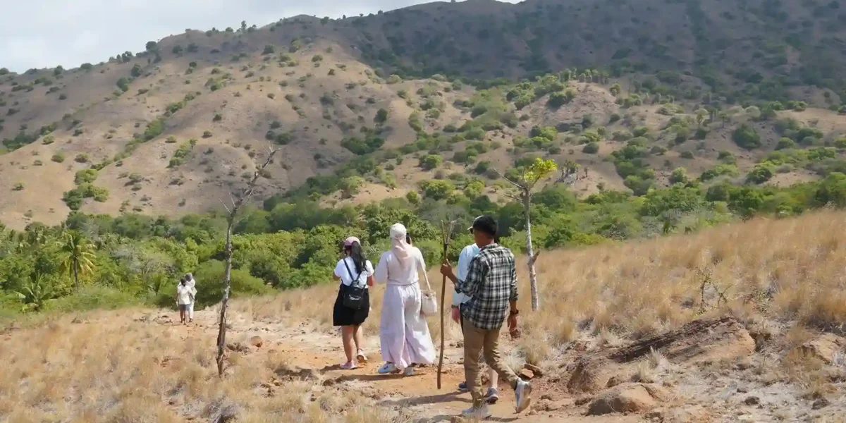 Trekking Track on Rinca Island | Luxury Komodo Island Tour | Komodo Tour | Komodo Luxury