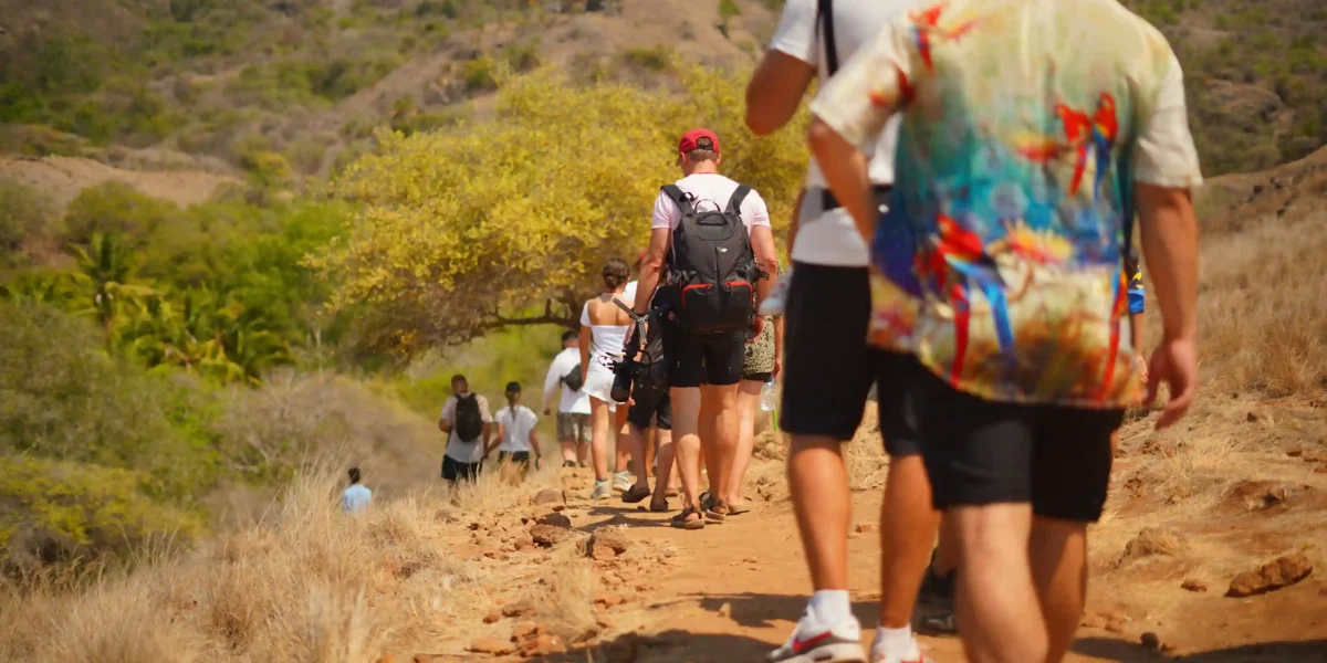 Komodo Island Trekking | Komodo Dragon Tour | Komodo Luxury