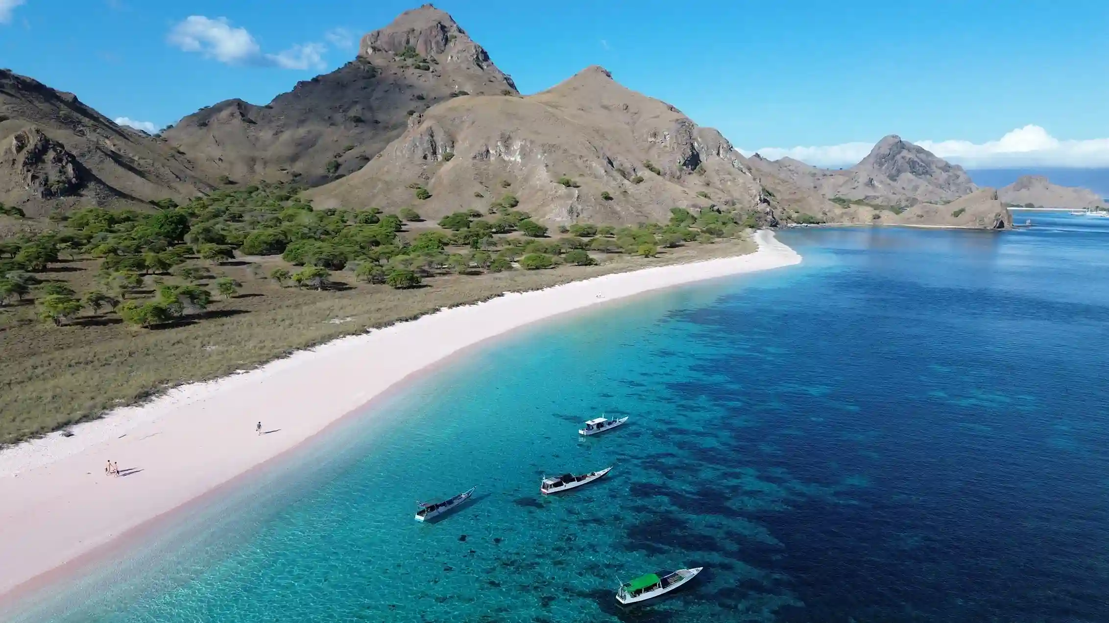 Pink Beach Destination | Komodo National Park | Komodo Luxury