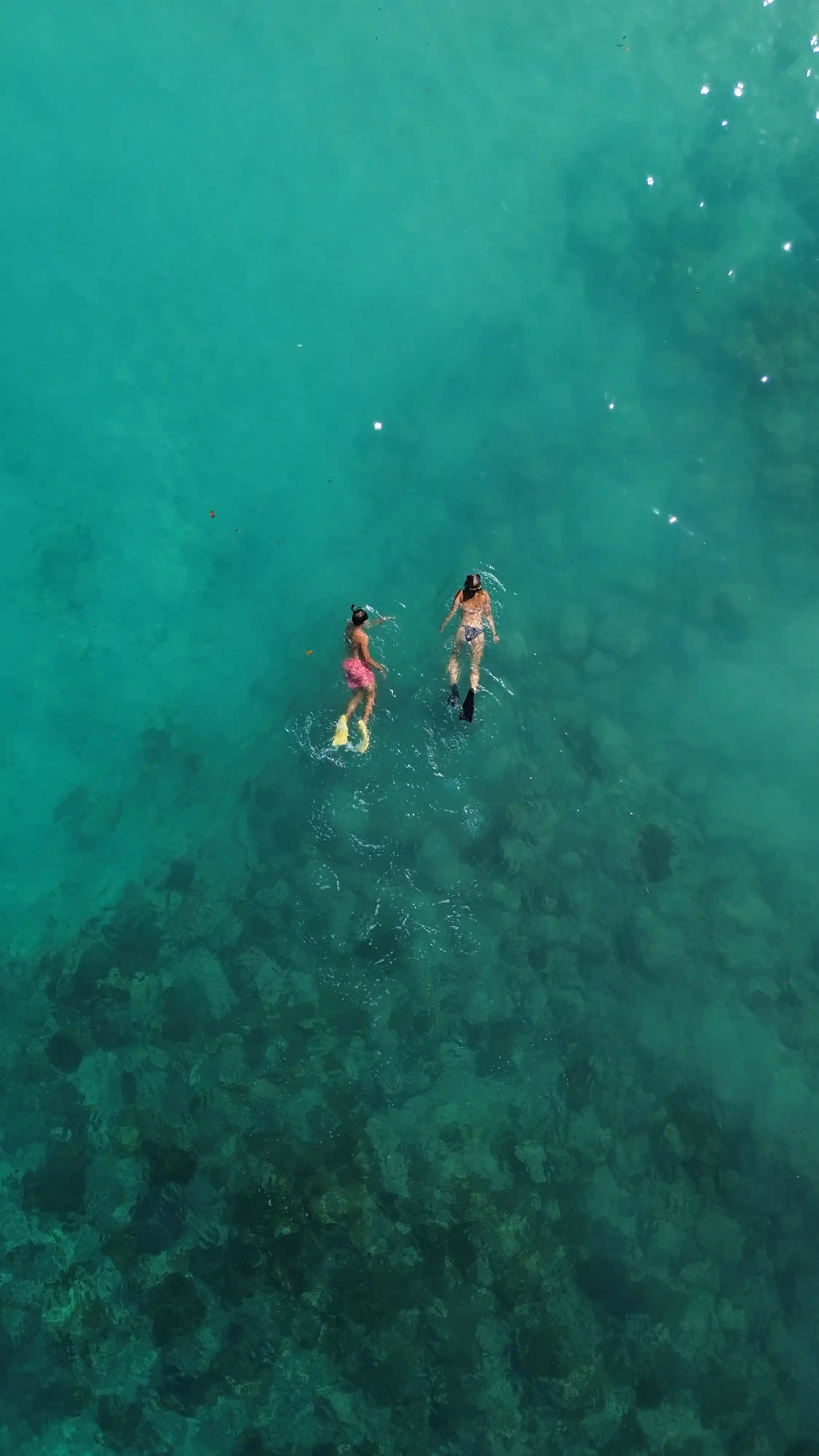 Pink Beach on Komodo National Park | Komodo Island | Komodo Tour
