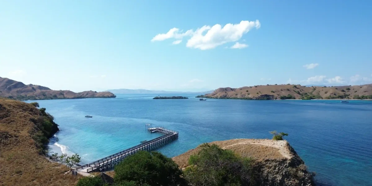 Pink Beach on Komodo National Park | Komodo Island | Komodo Tour