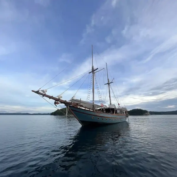 Dewata Liveaboard by Komodo Luxury