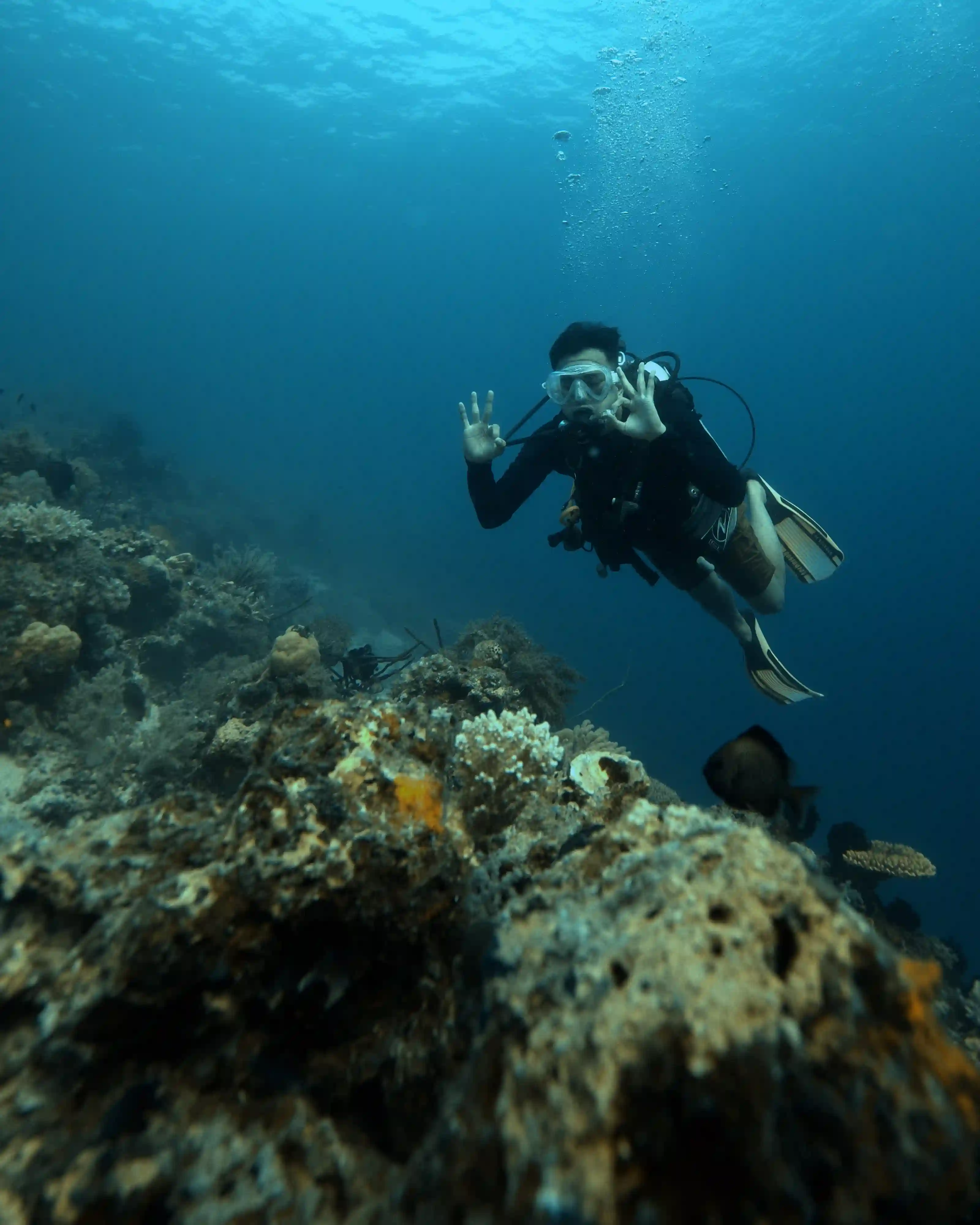 Watersport Liveaboard Komodo
