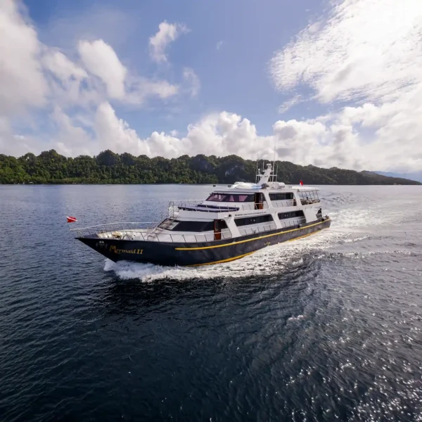 Mermaid II Liveaboard by Komodo Luxury