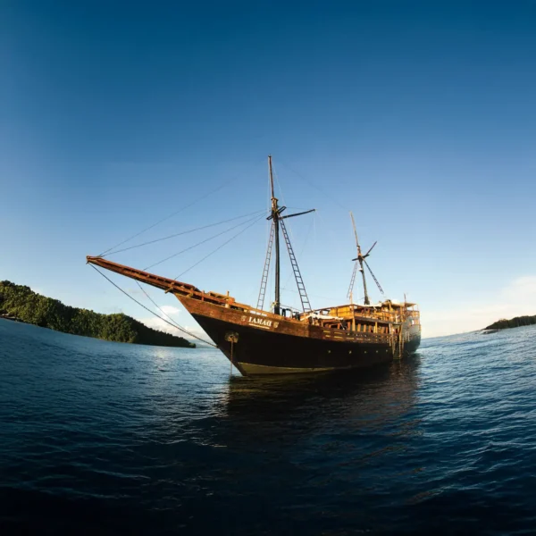 Damai 1 Liveaboard by KomodoLuxury