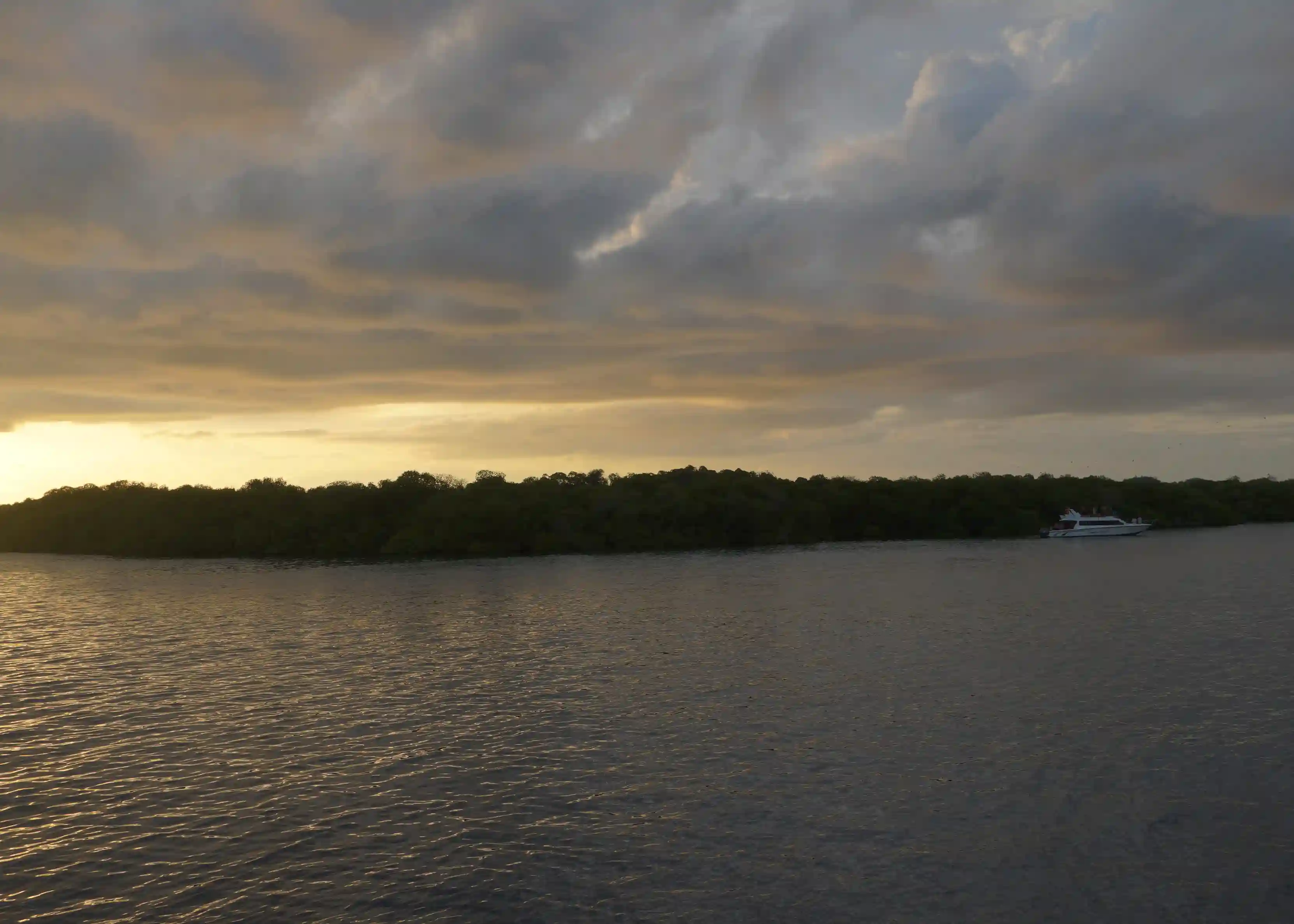 Kalong Island Destination | Komodo National Park | Komodo Luxury