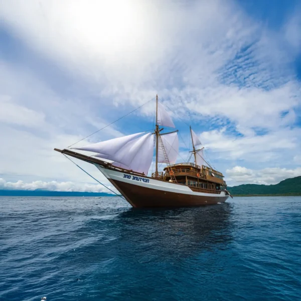 Neptune One Cruise Voyage Phinisi | Raja Ampat | Komodo Luxury