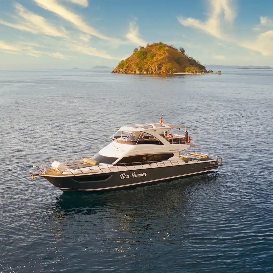 Komodo One Day Tour | Komodo Tour | Komodo Luxury