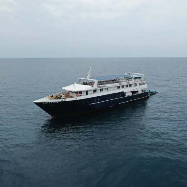 White Manta Liveaboard by Komodo Luxury