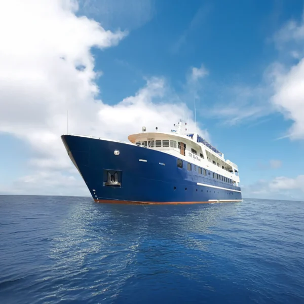 Blue Manta Liveaboard by Komodo Luxury