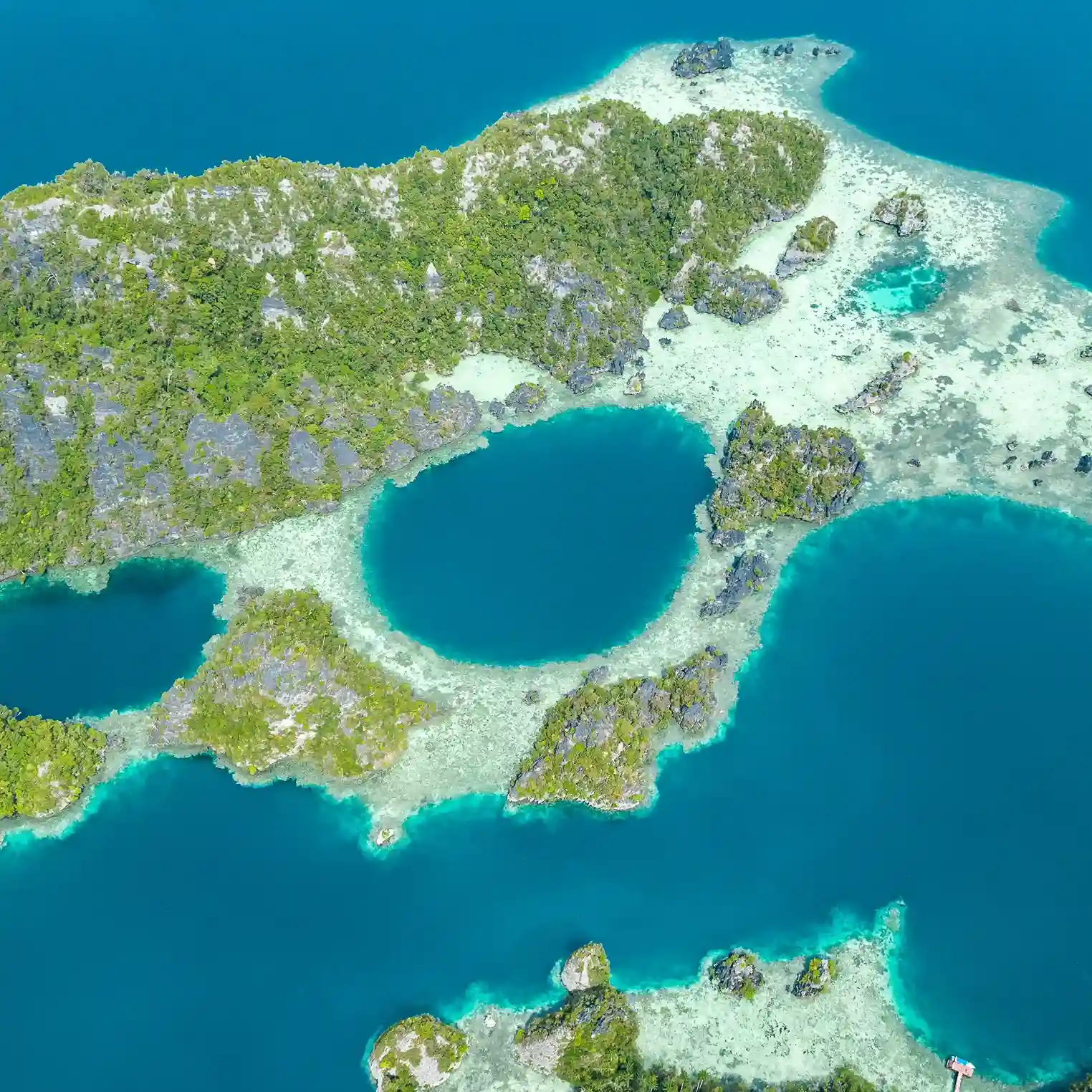 Harfat | Raja Ampat Tour Packages