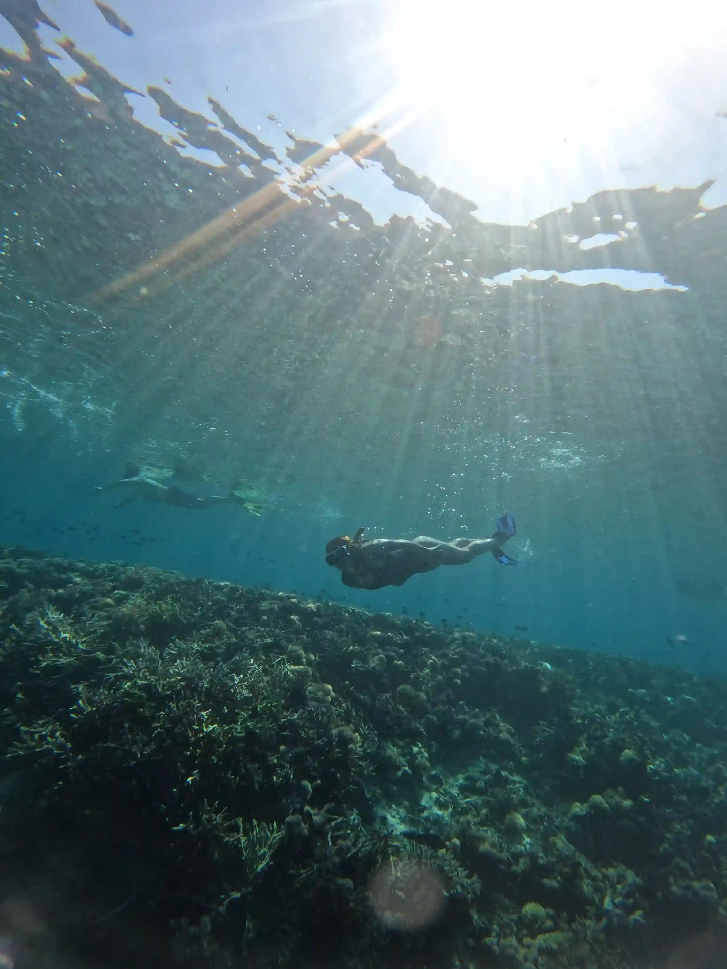 Run Island Snorkeling by Komodo Luxury