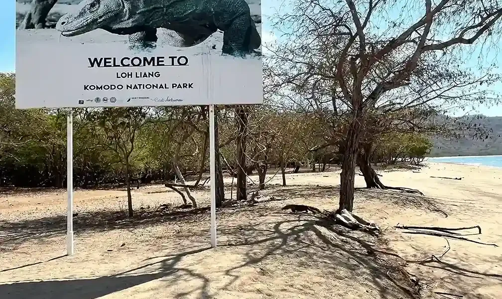 Loh Liang National Park