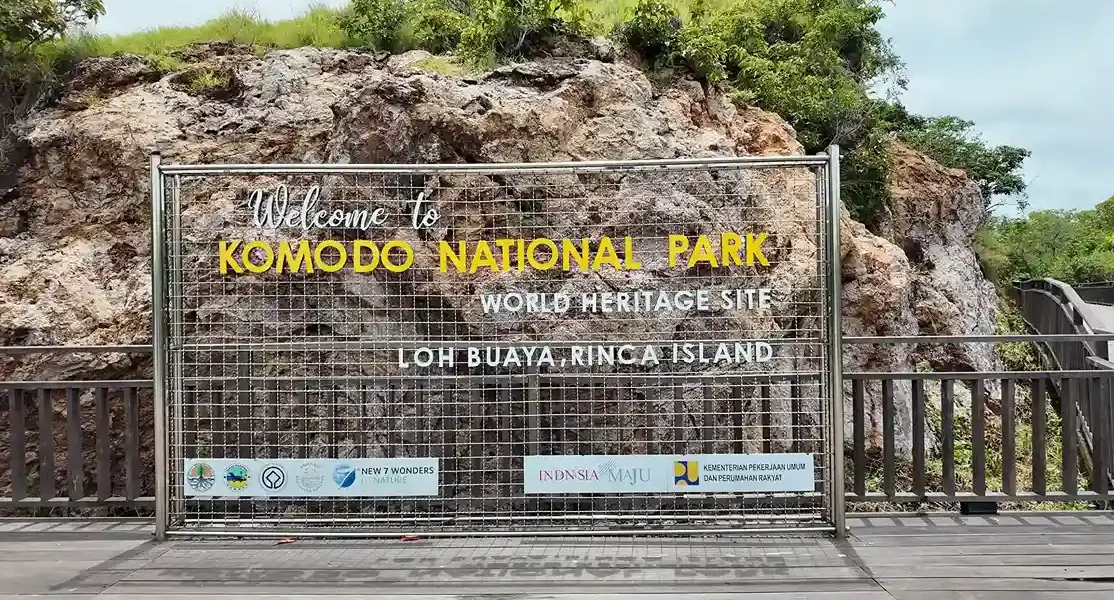 Loh Buaya Rinca Island (1)