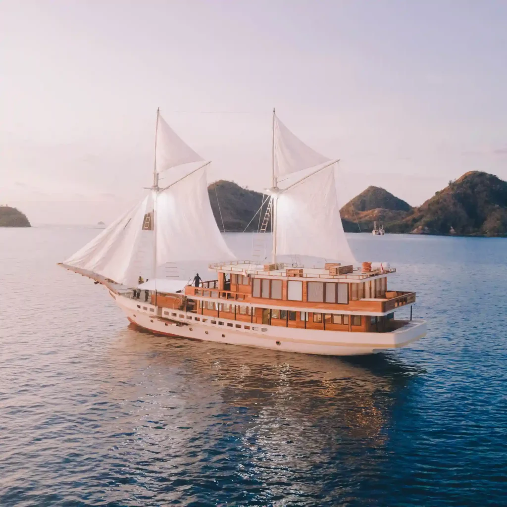 Elbark Cruises