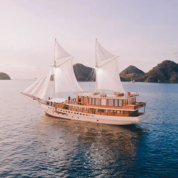 Elbark Cruise Phinisi Boat Charter | Open Trip & Private Trip | Komodo Luxury