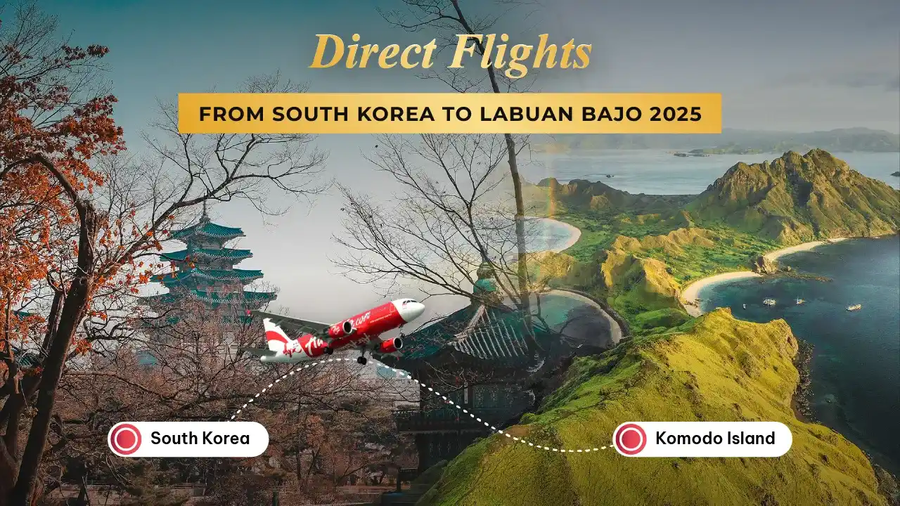 Labuan Bajo to South Korea | Komodo Luxury