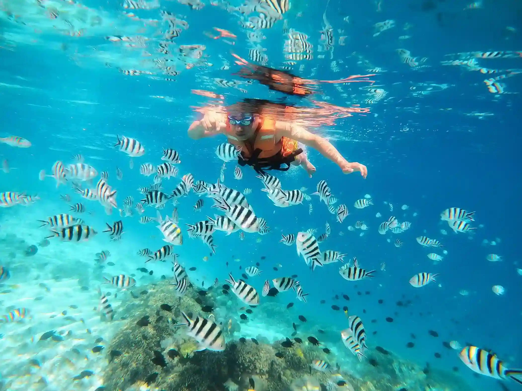 Snorkeling at Kanawa Island | Komodo Luxury