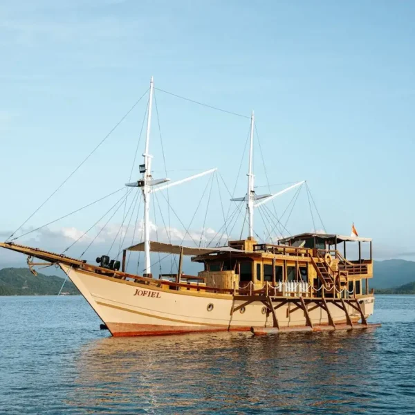 Jofiel Phinisi Boat Charter | Komodo Island Tour | Komodo Luxury