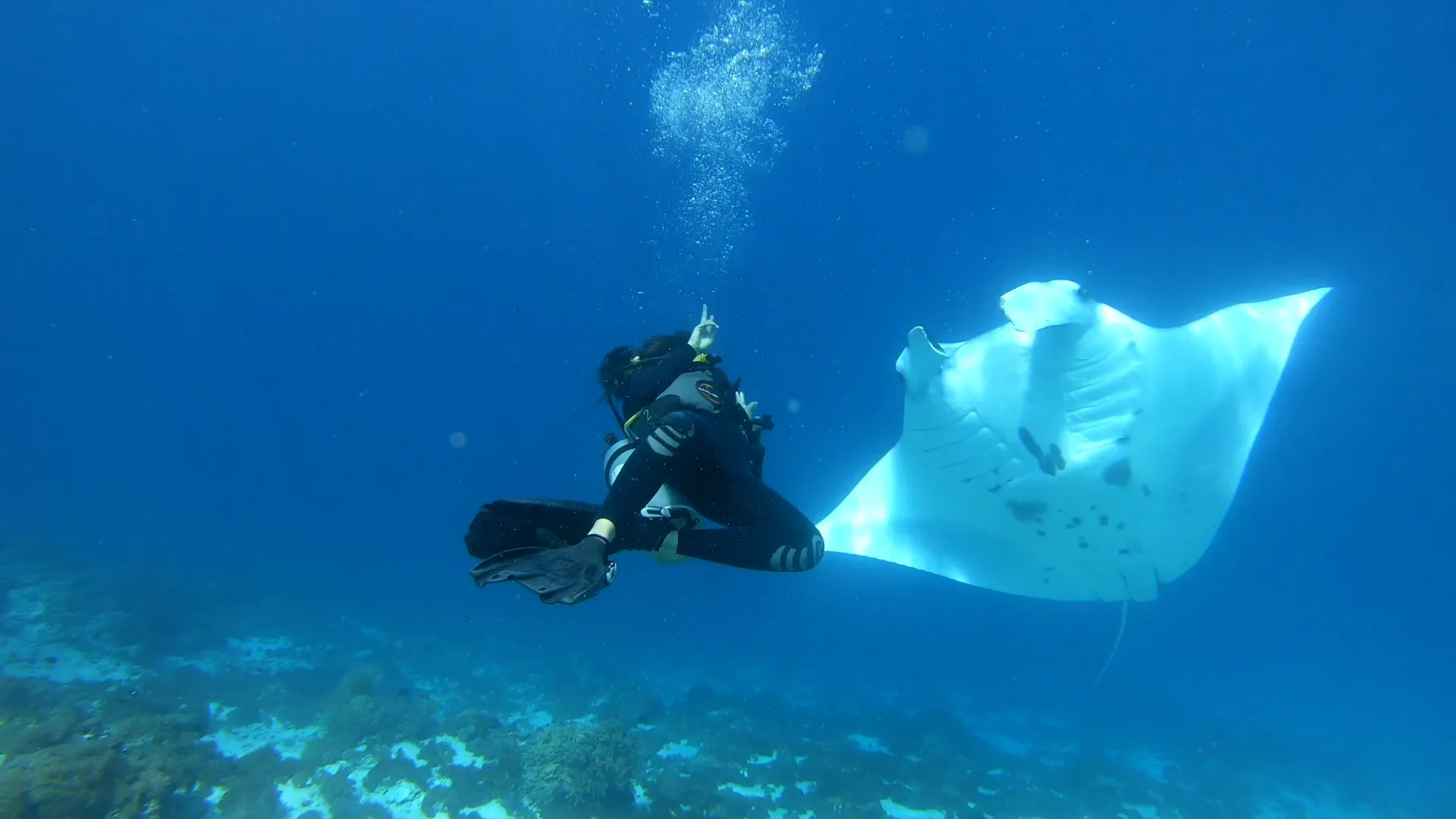 Teman Cruise Phinisi Dive Deck