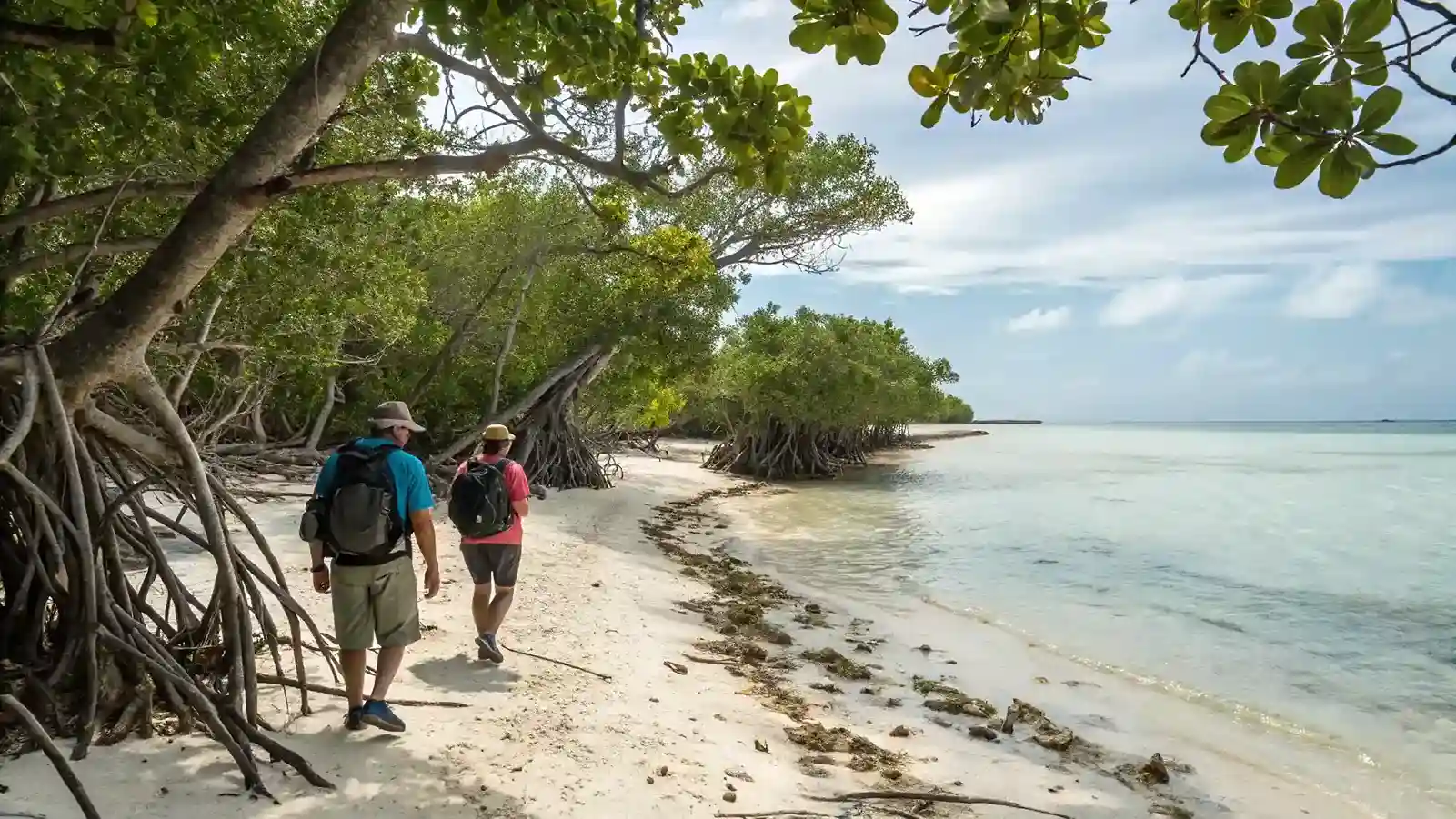 Kaimana | Trekking Tour by Komodo Luxury